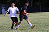 Getting site of the ball